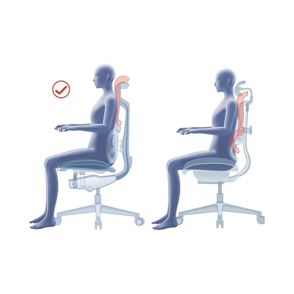 Ergonomic Chair Net, Executive Home Office, with Waist Support, Backrest(E)