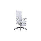 Ergonomic Chair Net, Executive Home Office, with Waist Support, Backrest(E)