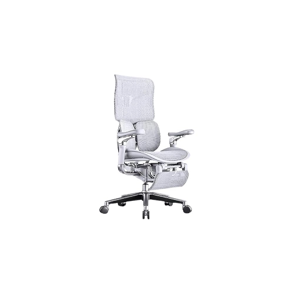 Ergonomic Chair Net, Executive Home Office, with Waist Support, Backrest(E)