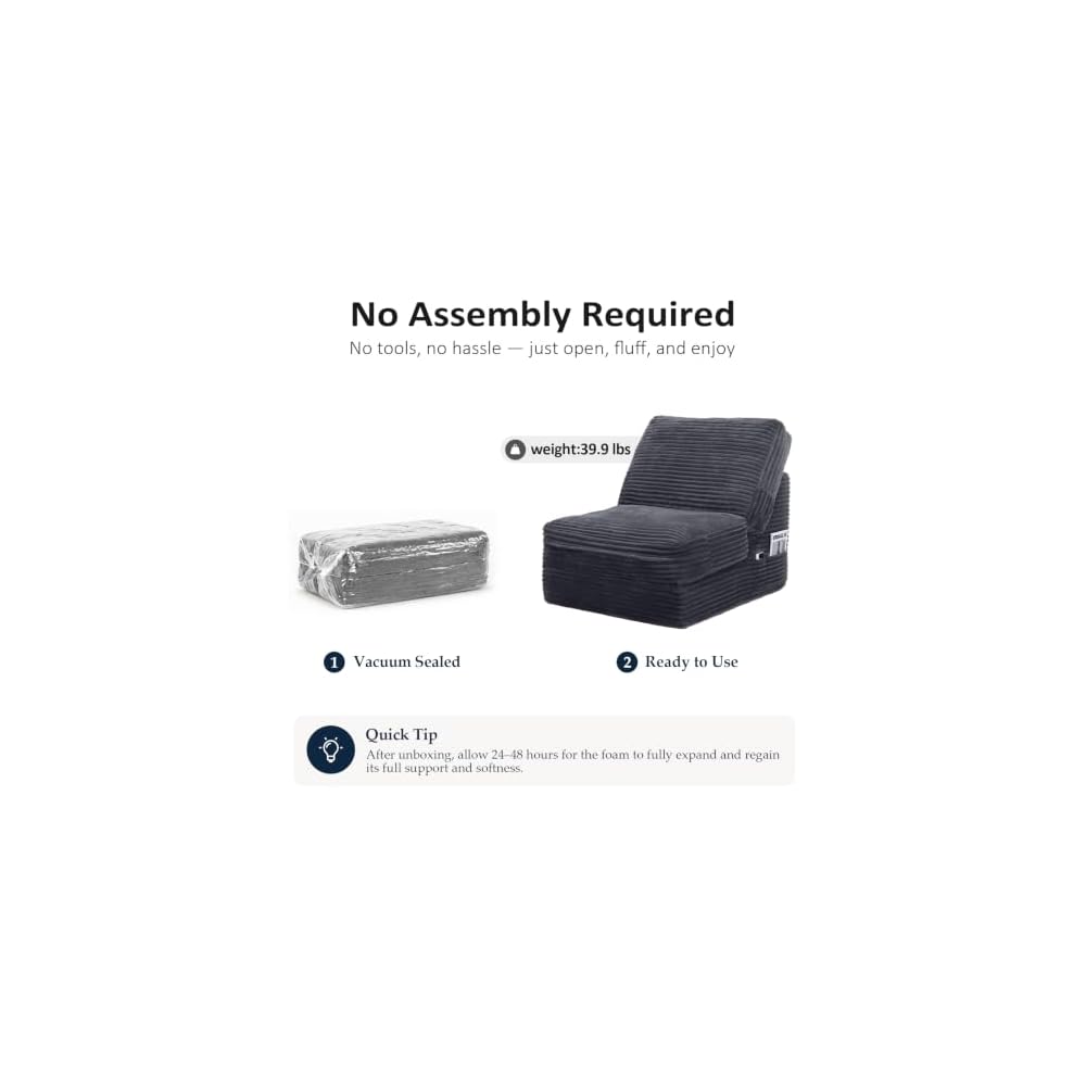 ENITYA Convertible Folding Sofa Bed with Supportive Foam Back Cushion