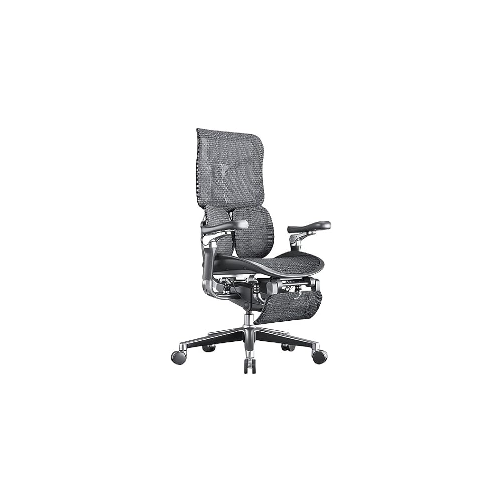 Ergonomic Chair Net, Executive Home Office, with Waist Support, Backrest(E)