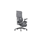 Ergonomic Chair Net, Executive Home Office, with Waist Support, Backrest(E)