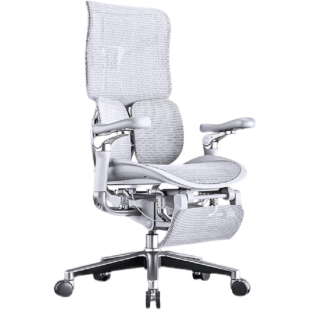Ergonomic Chair Net, Executive Home Office, with Waist Support, Backrest(E)