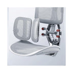 Ergonomic Chair Net, Executive Home Office, with Waist Support, Backrest(E)